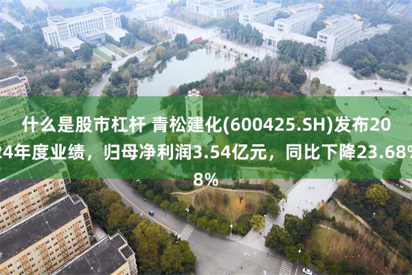 什么是股市杠杆 青松建化(600425.SH)发布2024年度业绩，归母净利润3.54亿元，同比下降23.68%