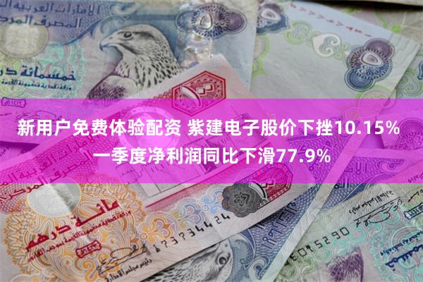 新用户免费体验配资 紫建电子股价下挫10.15% 一季度净利润同比下滑77.9%