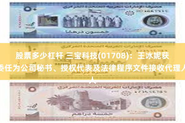 股票多少杠杆 三宝科技(01708)：王冰妮获委任为公司秘书、授权代表及法律程序文件接收代理人
