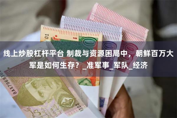 线上炒股杠杆平台 制裁与资源困局中，朝鲜百万大军是如何生存？_准军事_军队_经济