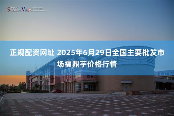 正规配资网址 2025年6月29日全国主要批发市场福鼎芋价格行情
