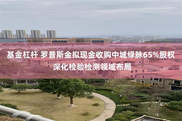 基金杠杆 罗普斯金拟现金收购中城绿脉65%股权 深化检验检测领域布局