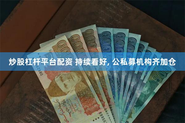 炒股杠杆平台配资 持续看好, 公私募机构齐加仓