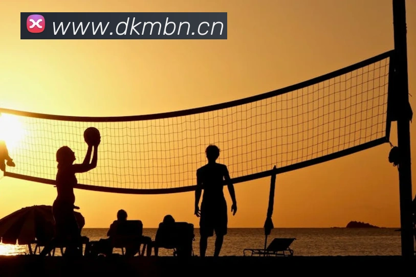 熊猫网官网首页发展历程